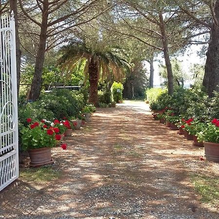 Campo Alle More Cecina  Buitenkant foto