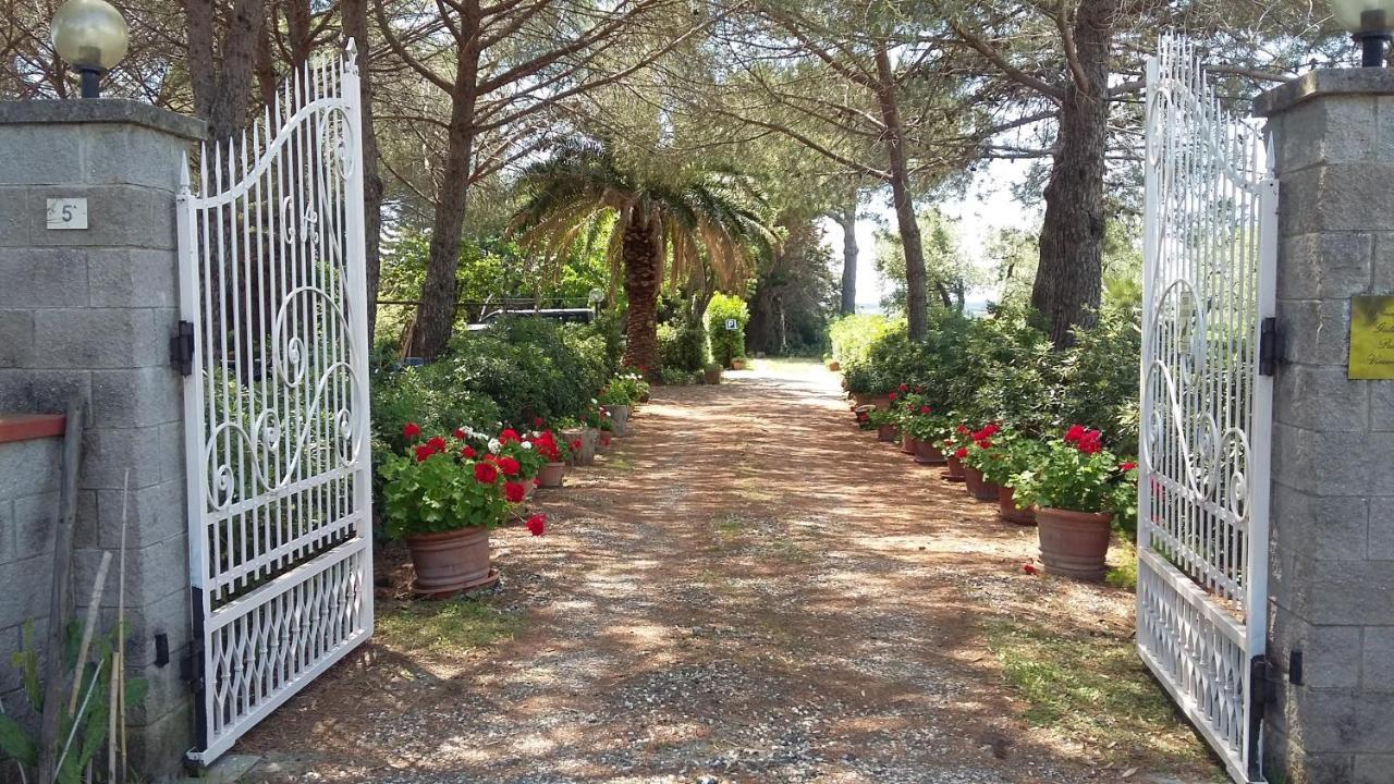 Campo Alle More Cecina  Buitenkant foto