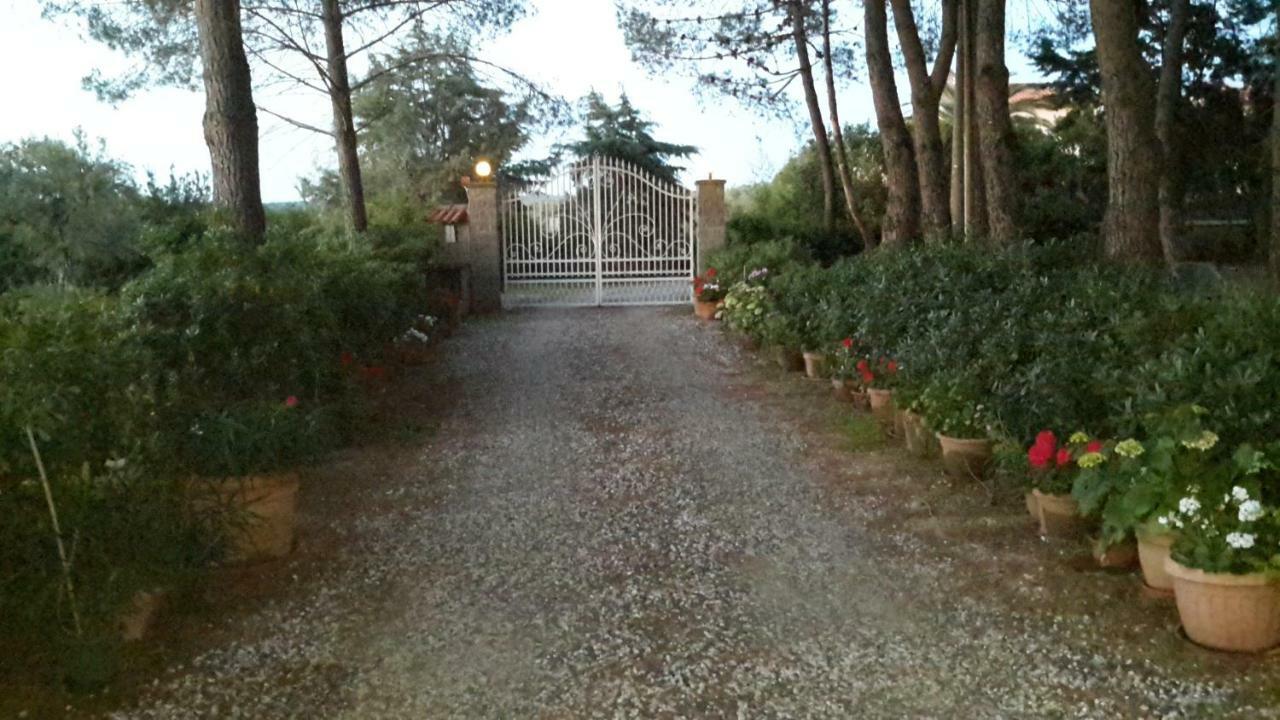 Campo Alle More Cecina  Buitenkant foto