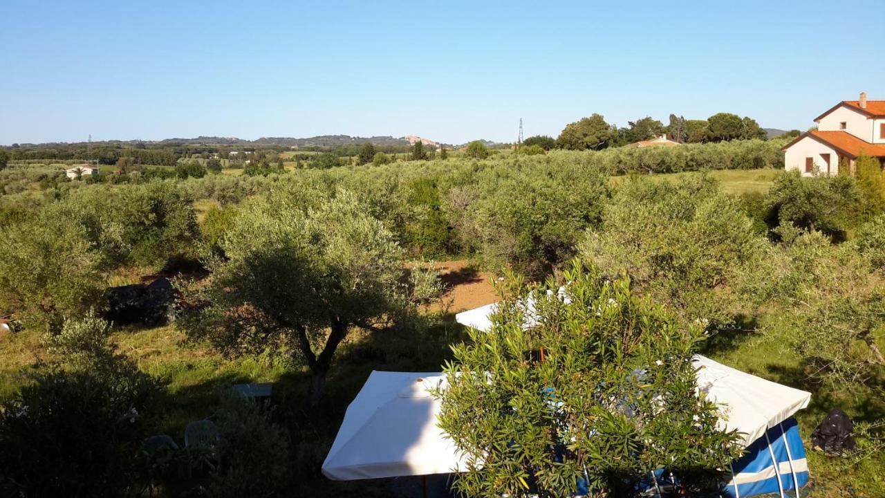 Campo Alle More Cecina  Buitenkant foto