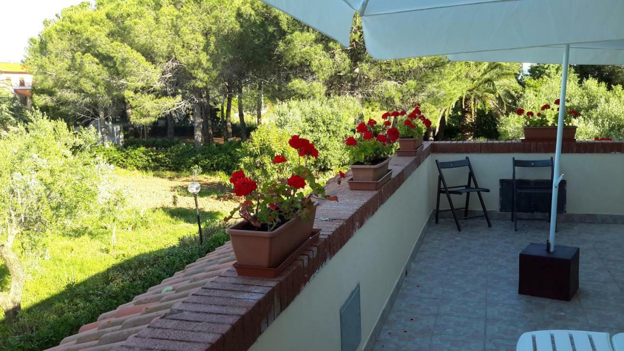 Campo Alle More Cecina  Buitenkant foto