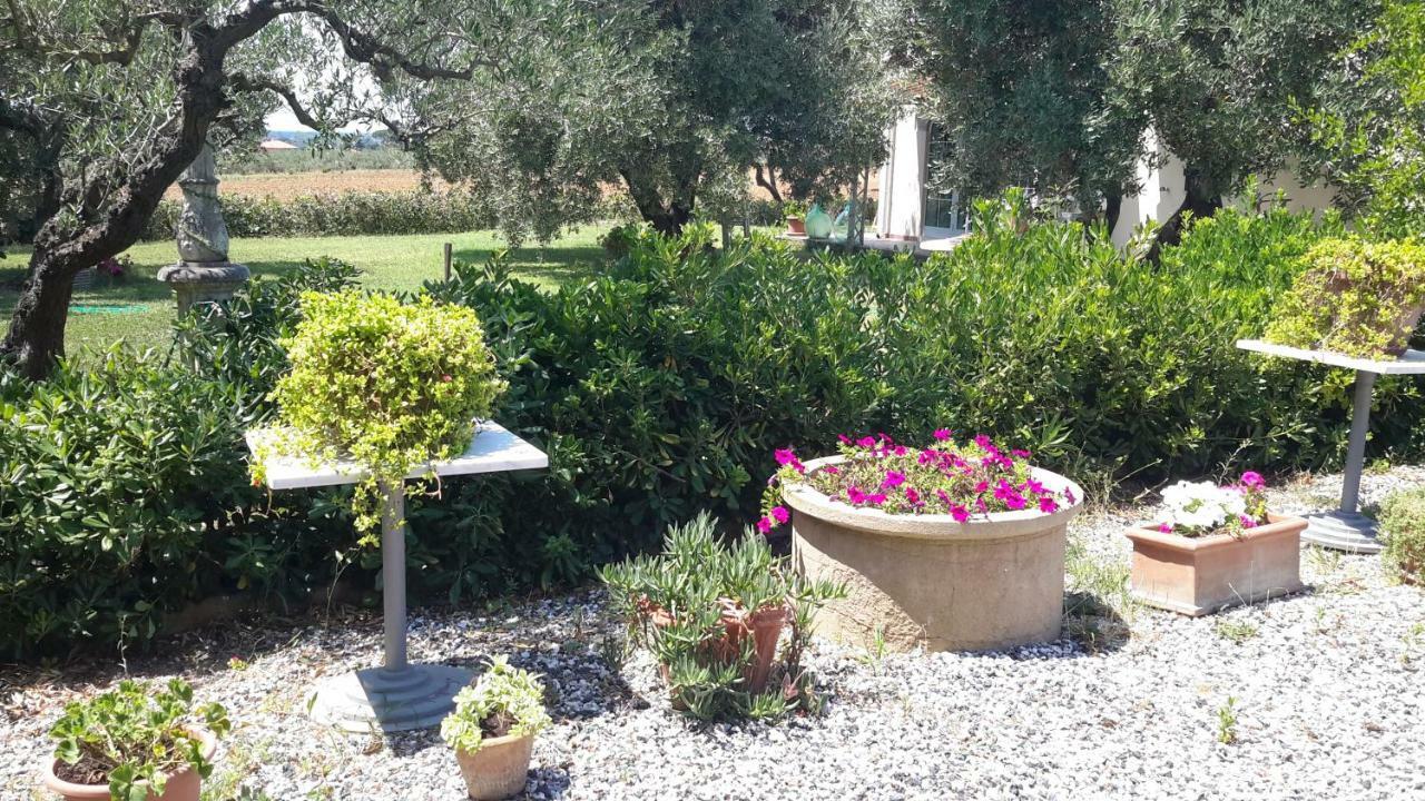 Campo Alle More Cecina  Buitenkant foto