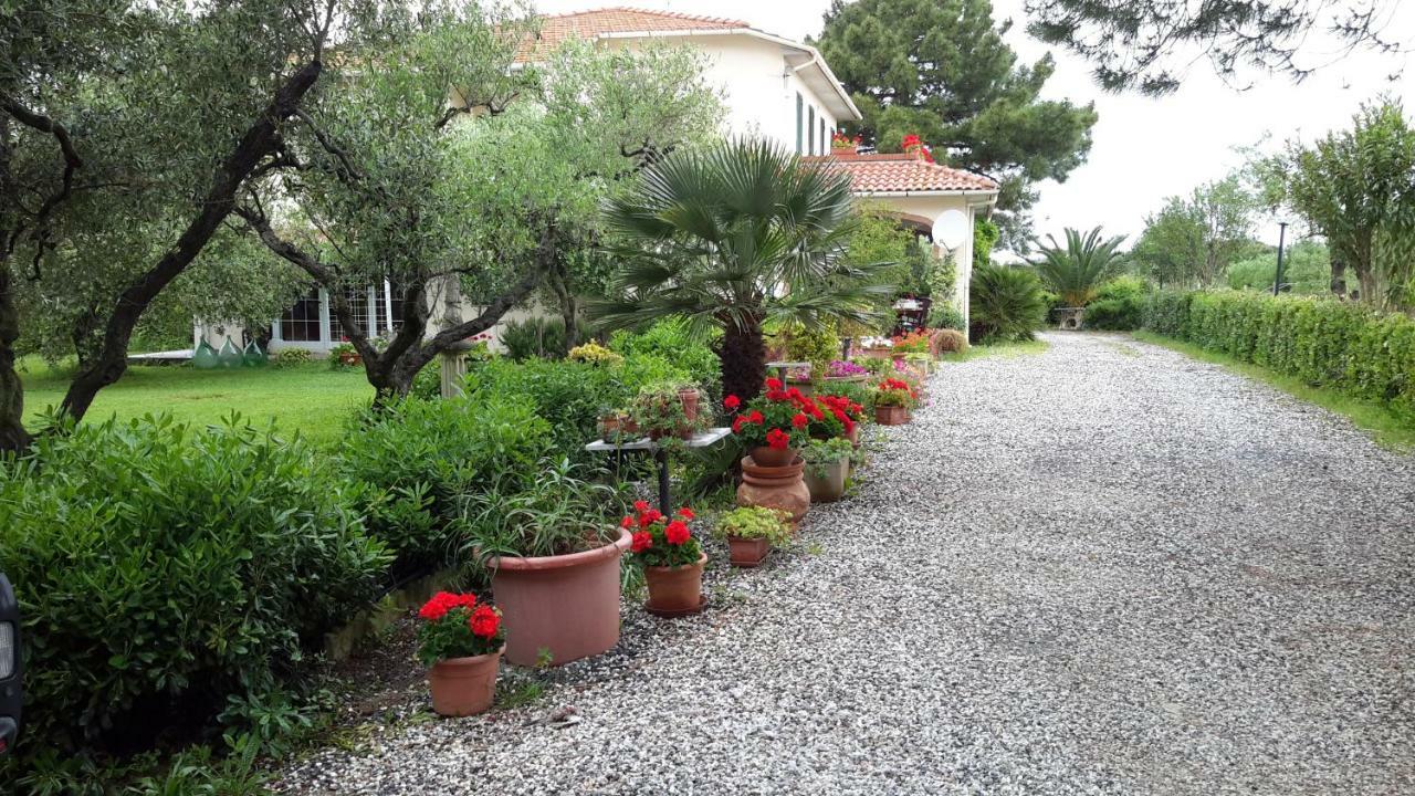 Campo Alle More Cecina  Buitenkant foto