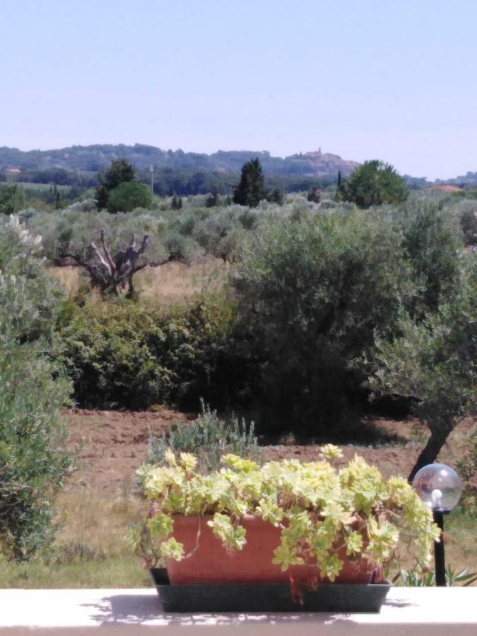 Campo Alle More Cecina  Buitenkant foto