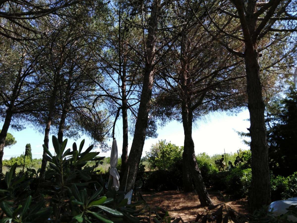 Campo Alle More Cecina  Buitenkant foto